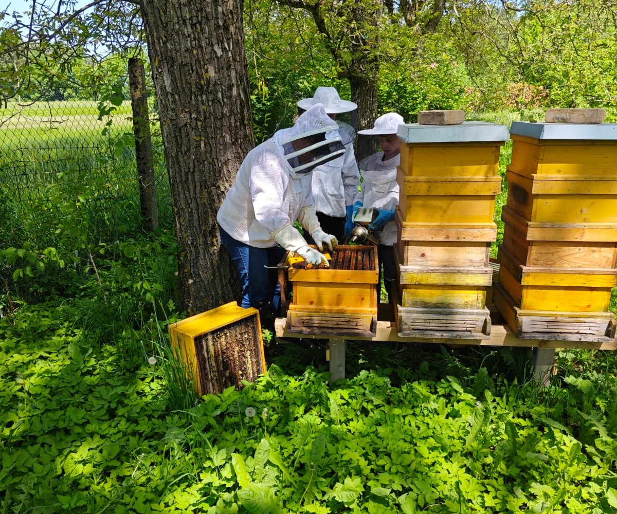 IMG-20231002-WA00501 Natur